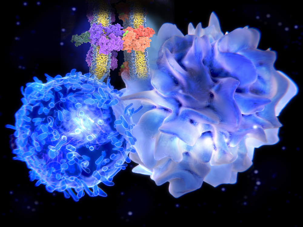Dendritic cell immunotherapy