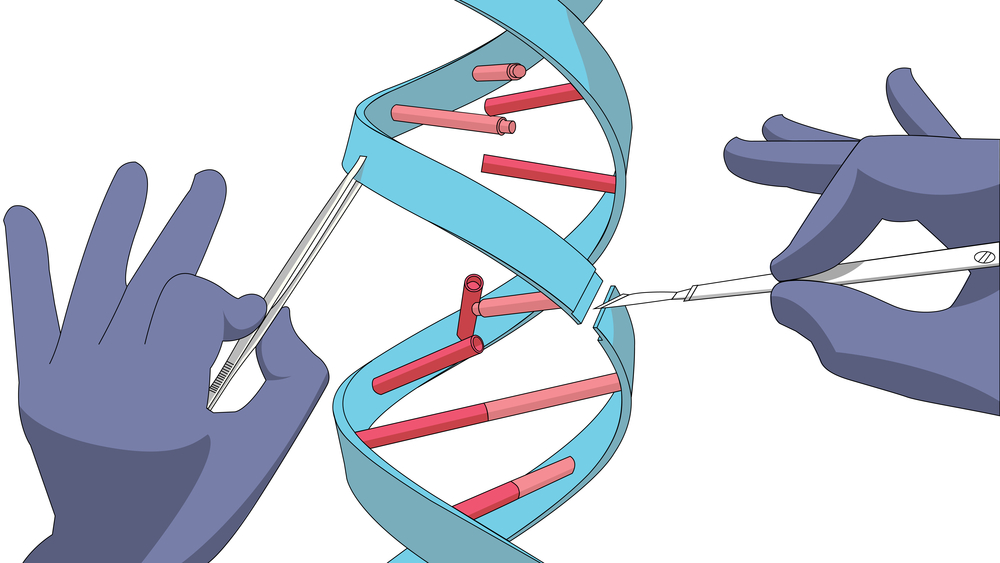 CRISPR gene editing myeloma immunotherapy.
